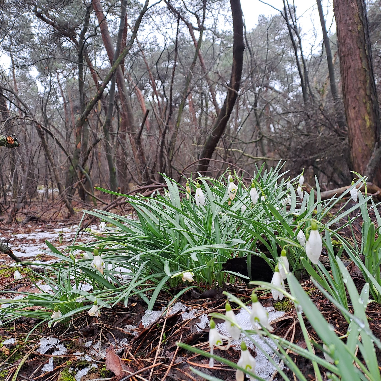 Carnaval voorbij? Tijd om weer aan de slag te gaan!